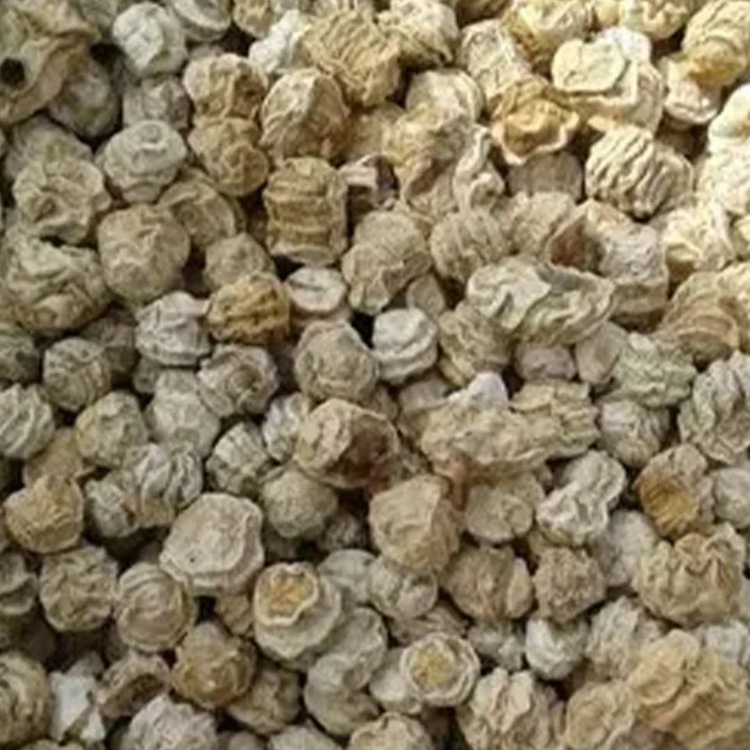 Kachari 150g Rajasthani dry vegetable Open by Sidhi Marwadi