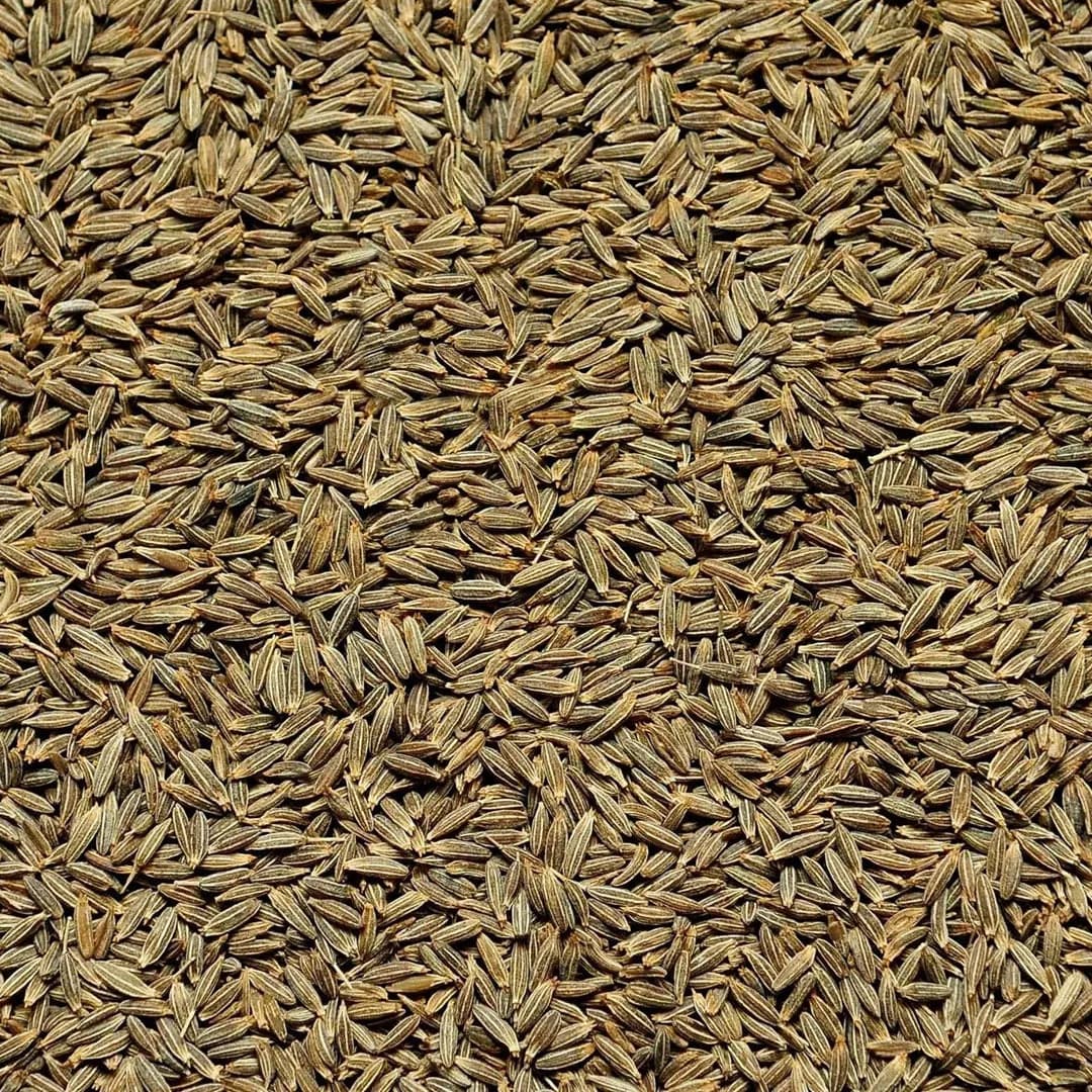 Jeera 200g whole spice Open by Sidhi Marwadi