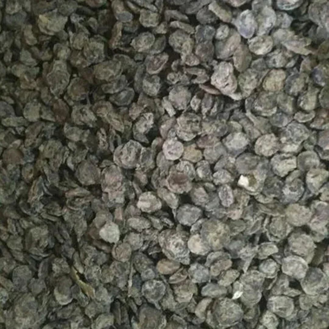 Kumathiya 200g Rajasthani dry vegetable Open by Sidhi Marwadi
