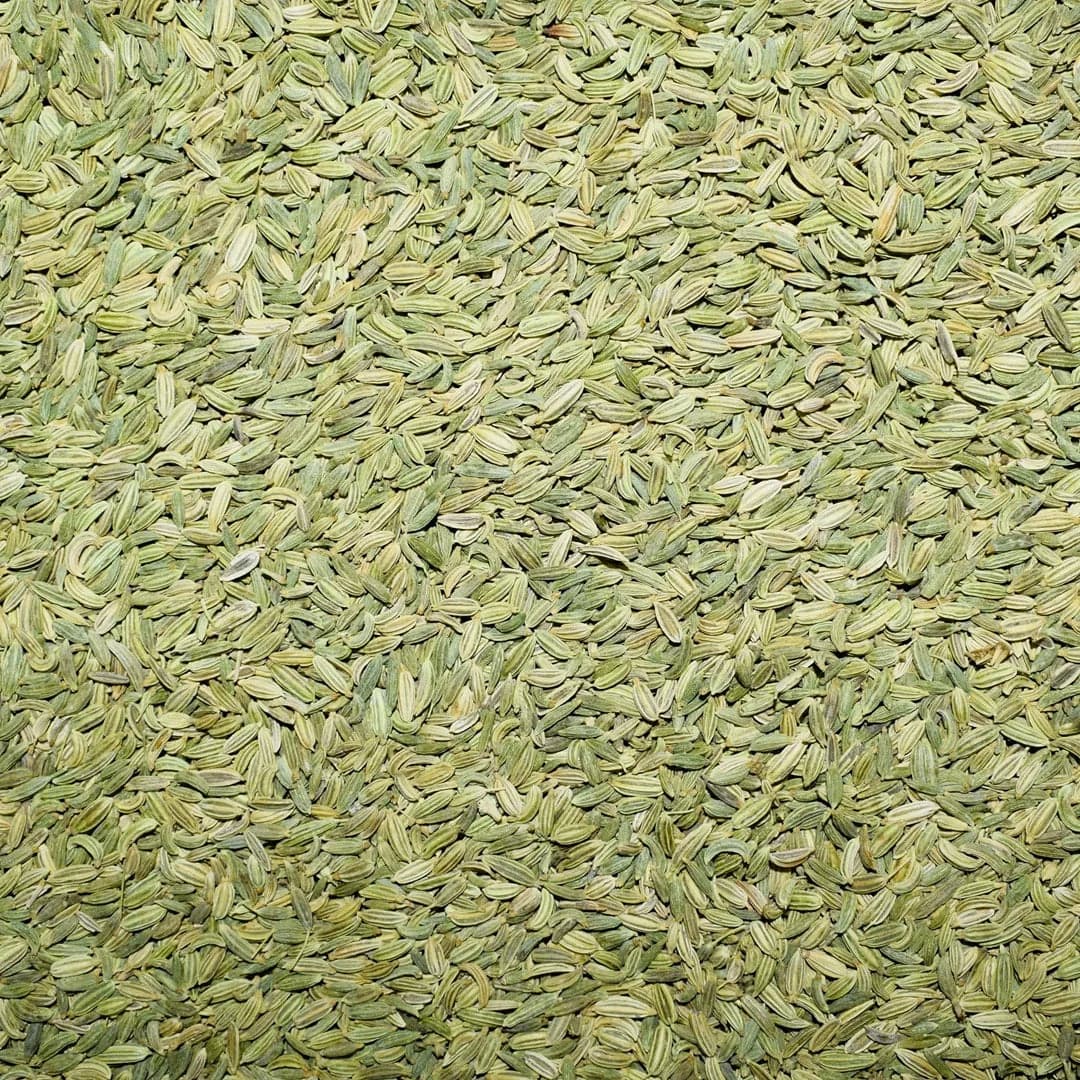 Whole fennel seeds saunf