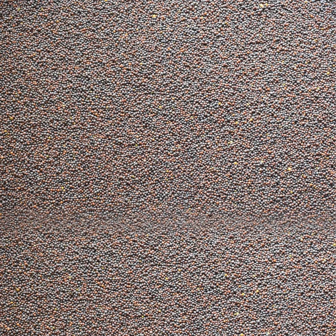 Whole mustard seeds rai