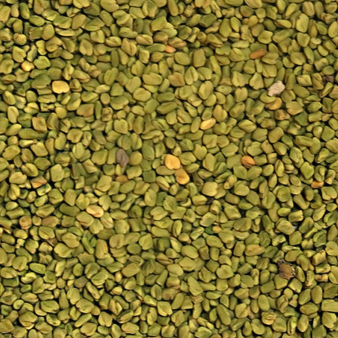 Green fenugreek seeds by Sidhi Marwadi