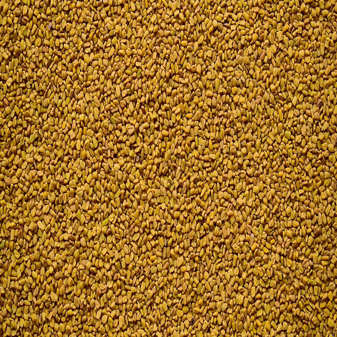 Whole yellow fenugreek seeds by Sidhi Marwadi