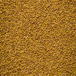 Whole yellow fenugreek seeds by Sidhi Marwadi
