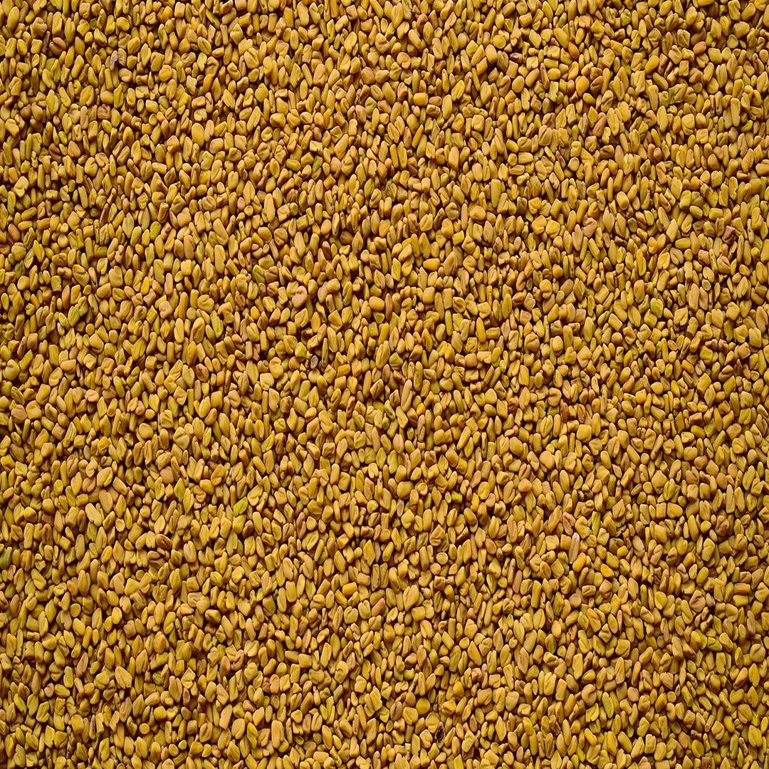 Yellow fenugreek seeds peeli methi dana