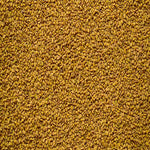 Yellow fenugreek seeds peeli methi dana