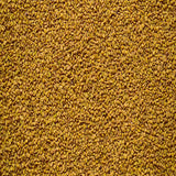 Yellow fenugreek seeds peeli methi dana