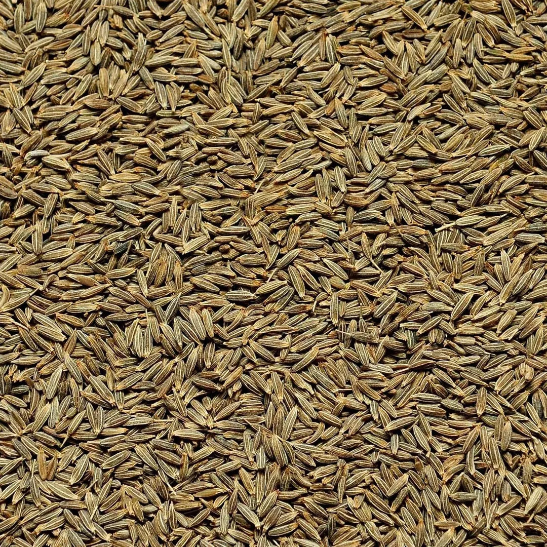 Whole cumin seeds jeera