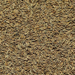 Whole cumin seeds jeera