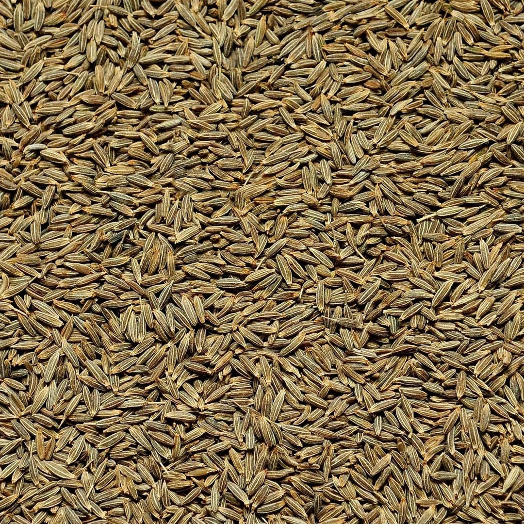 Whole cumin seeds by Sidhi Marwadi