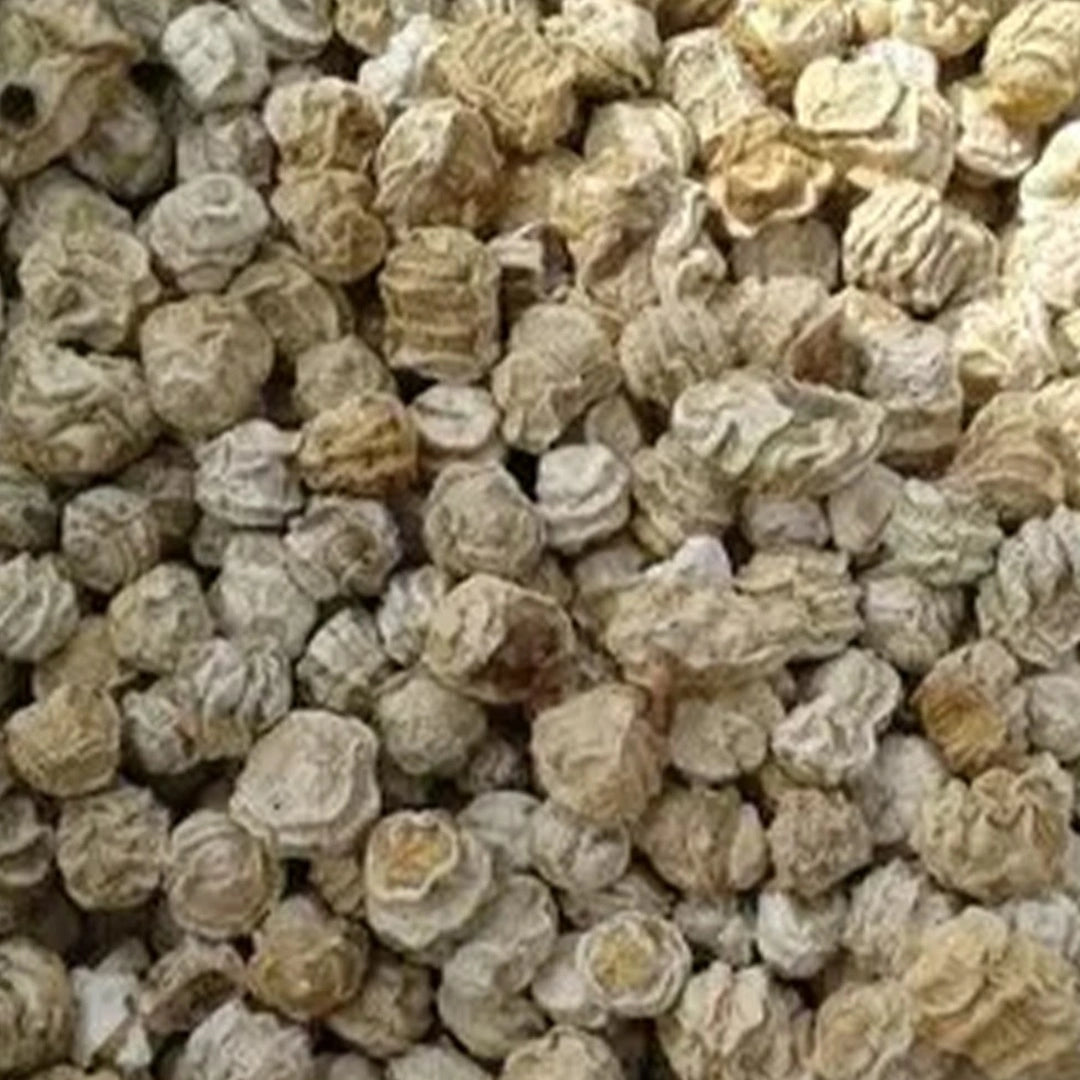 Traditional Rajasthani dried Kachari by Sidhi Marwadi