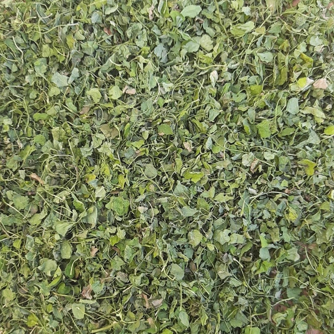 Dried fenugreek leaves by Sidhi Marwadi