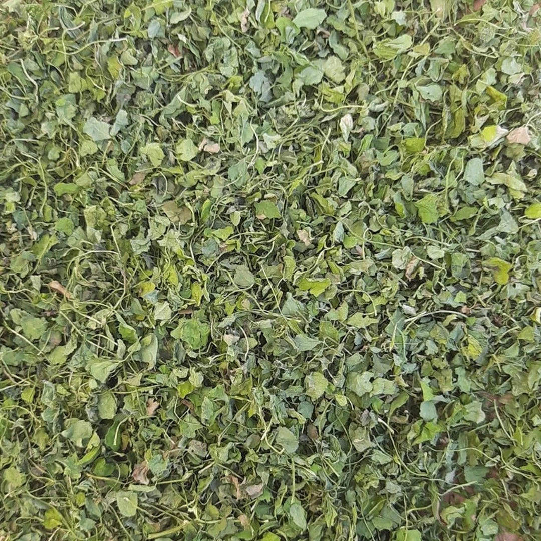Dried fenugreek leaves kasuri methi