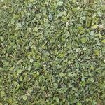 Dried fenugreek leaves kasuri methi