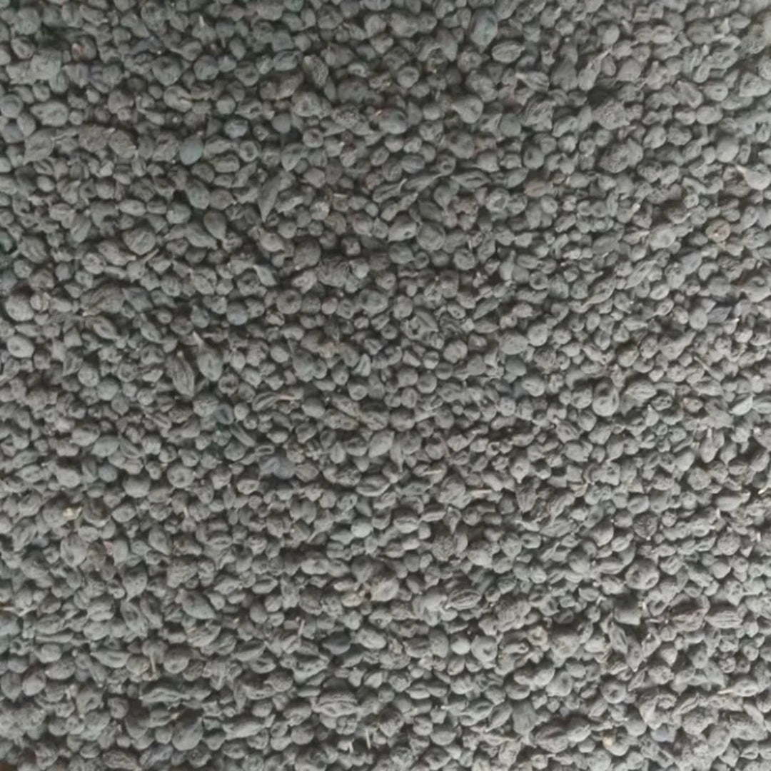 Rajasthani dried ker desert berry