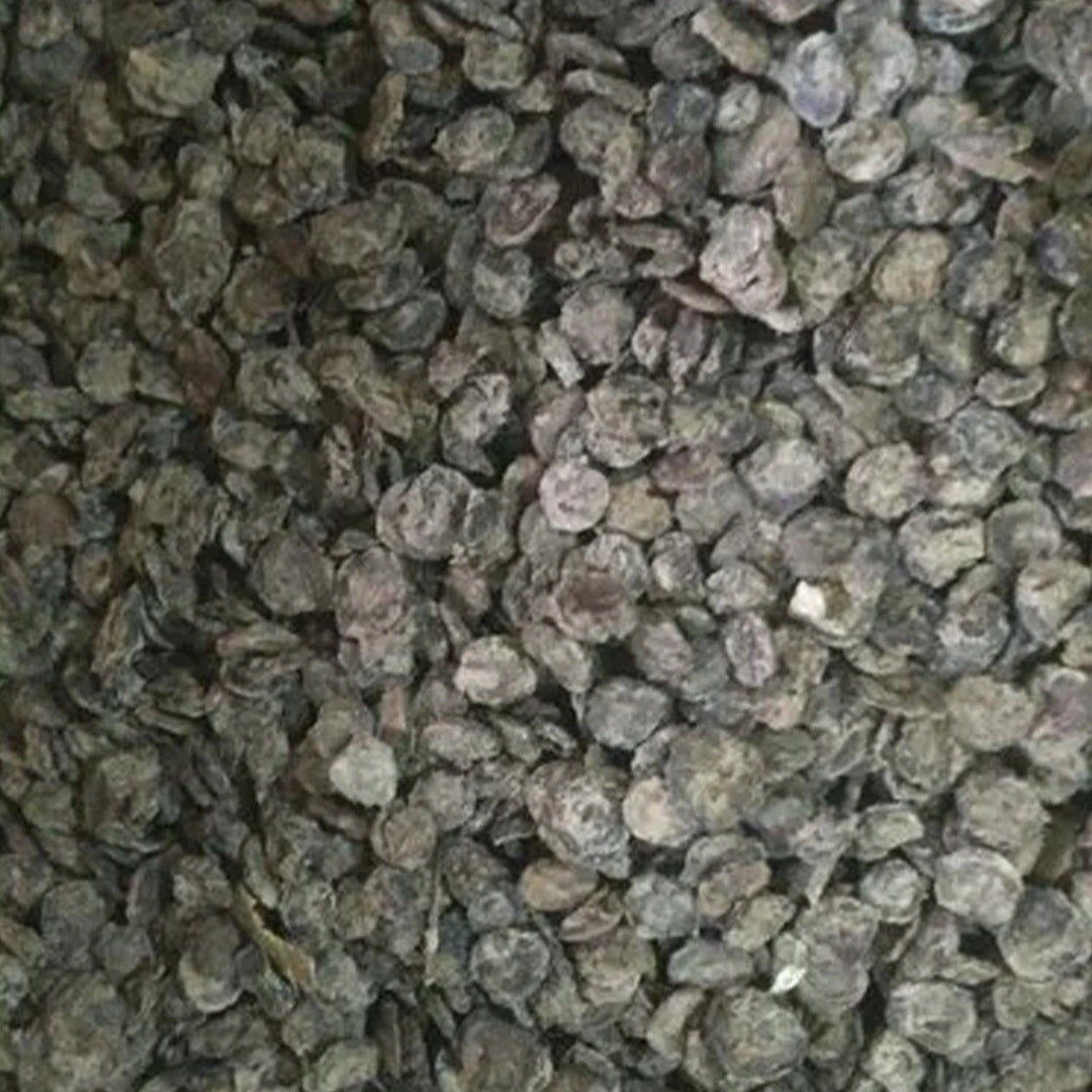 Traditional Rajasthani Kumathiya by Sidhi Marwadi