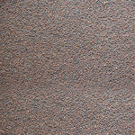 Whole mustard seeds rai